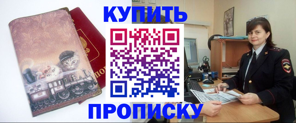 прописка в Шебекино